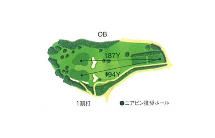 แผนผังหลุมทางการ Chikushino No.3 耳納